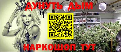 спиды Боровичи