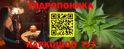 гашик Братск