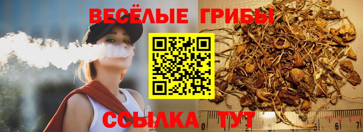 Галлюциногенные грибы GOLDEN TEACHER  Вход с VPN  Куйбышев 